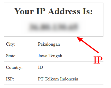 status ip
