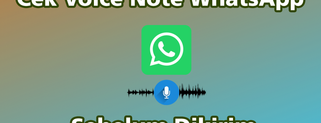 Cek Voice Note WhatsApp