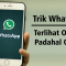 Trik WhatsApp Terlihat Offline