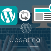 langkah mudah update wordpress