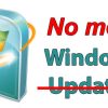 disable windows update